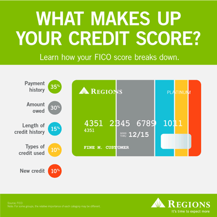 What Makes Up Your Credit Score infographic