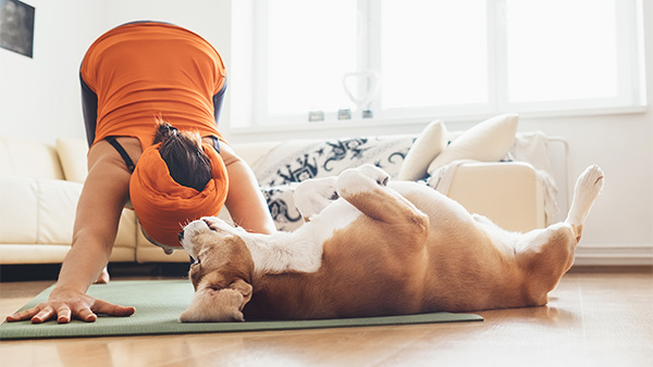 mujer haciendo yoga en su casa con su perro