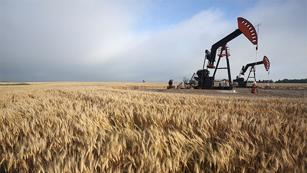 oil pump in a field