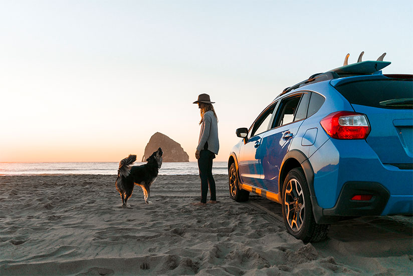 Car with surf dog