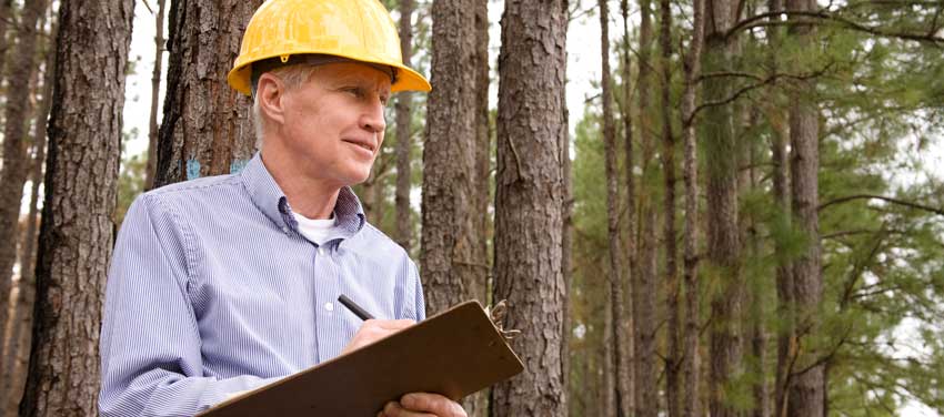 Man takes notes on commercial real estate timber