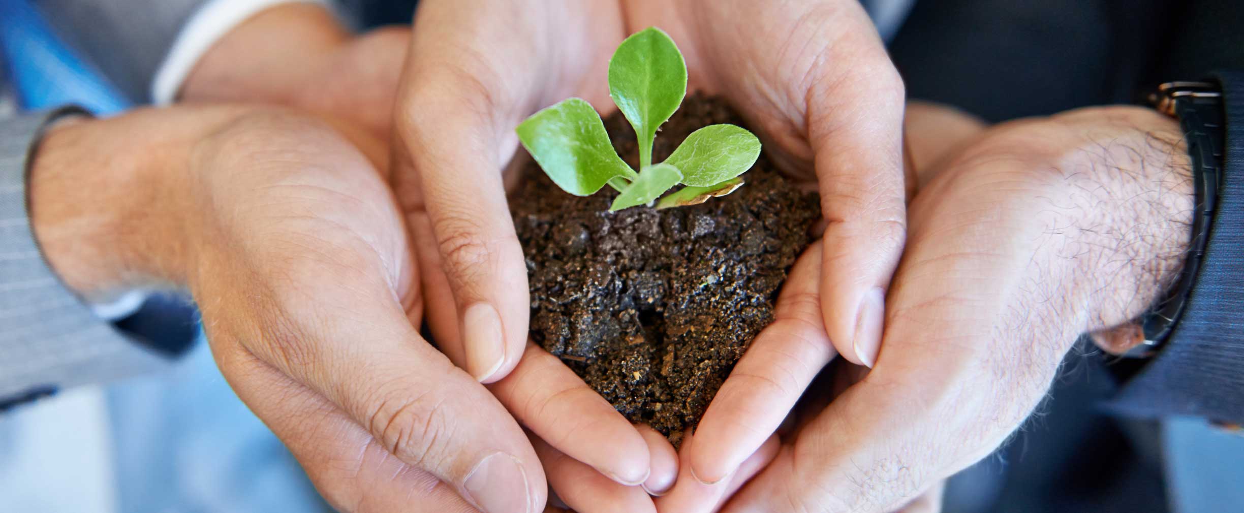 Green Bonds: An Investment in the Environment and a Solid Return?