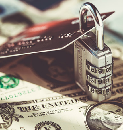 financial fraud protection