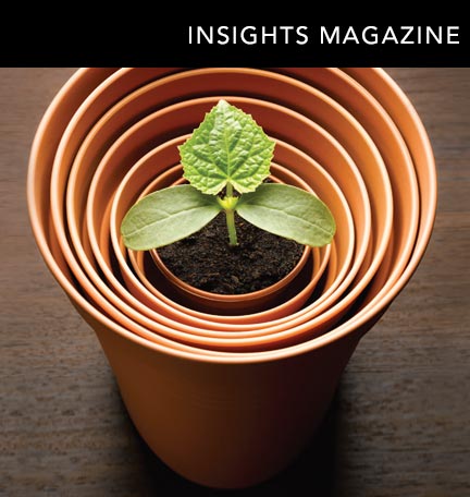 Insights Magazine Spring 2016