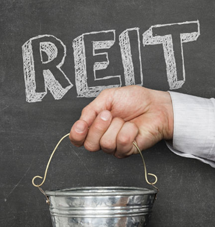 fideicomisos de inversión de bienes inmuebles